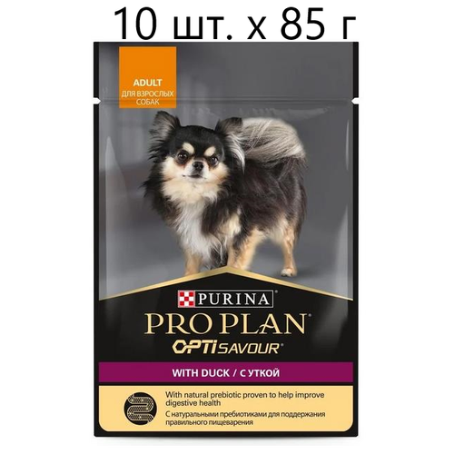      Purina Pro Plan OptiSavour adult with duck, , , 4 .  85  (    )   -     , -,   