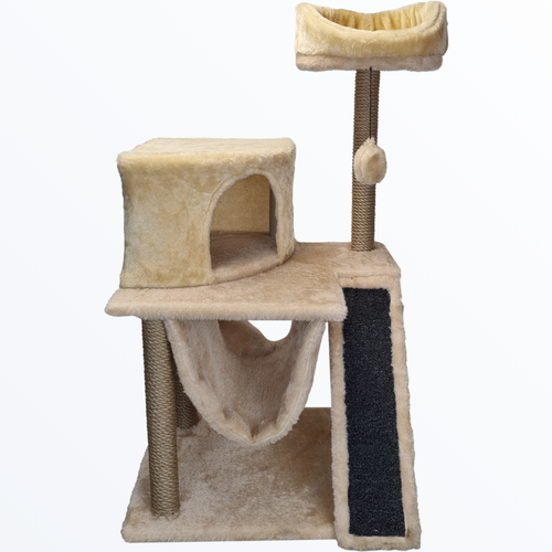 ���� ������� �������� 