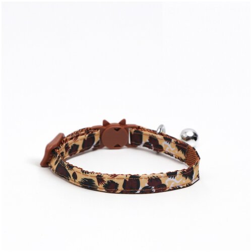 ���� ������� ��� ����� � ������� � ����� �����, 1 ��, �������, ������ ������