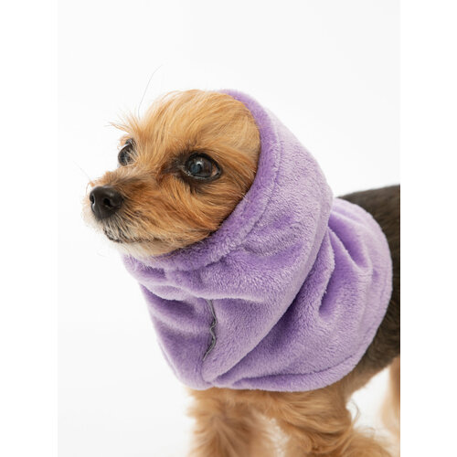 ���� ����� ������ ��� ����� �. XL ���������, ������ ������