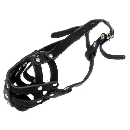 ���� ��������� ��� ����� ����� ������� �������� � ���������� �1, 1613476, ������ ����� 23 �� XXS ������, ������ ������