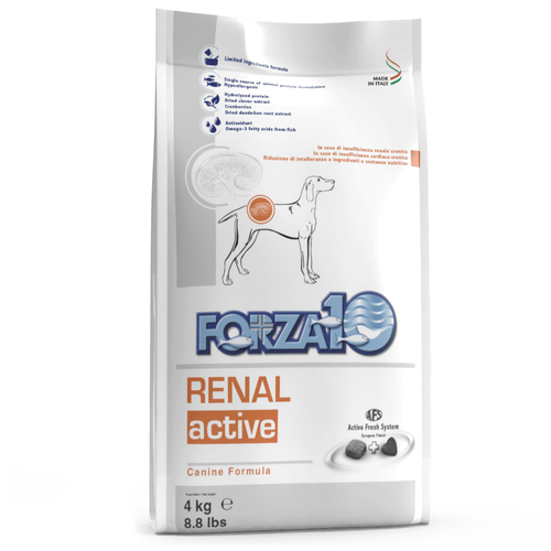      Forza10   ,    1 .  1 .  4000    -     , -  