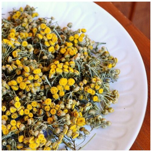 ���� ������� ����� ����� 40 ��, ������ ������