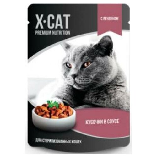  X-CAT         0.08 