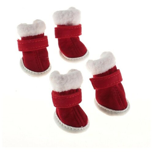 ���� ������� 