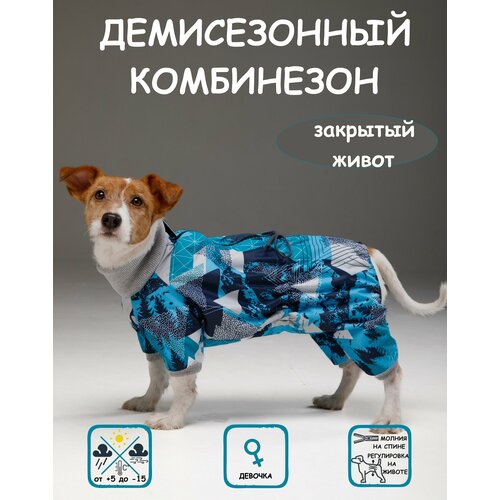     DOGMODA     3   -     , -  