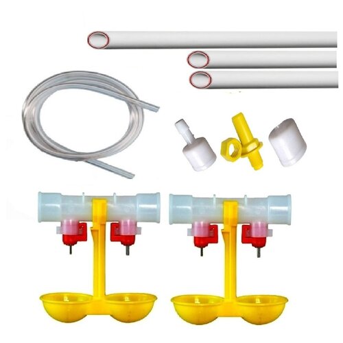 ���� ������� ���������� ������ 2�� +����� ��� ���� ������ ��������� � ������ ������� ����� ������� ���������� �������� ��� ��� ������� ���������, ������ ������