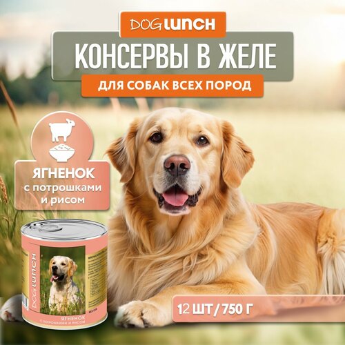      Dog Lunch  1 .  12 .  750    -     , -  