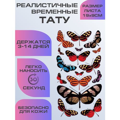 ���� ���� ���������� �������������� �������, ������ ������