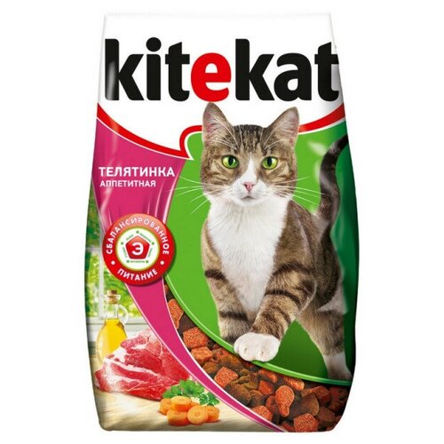    KiteKat