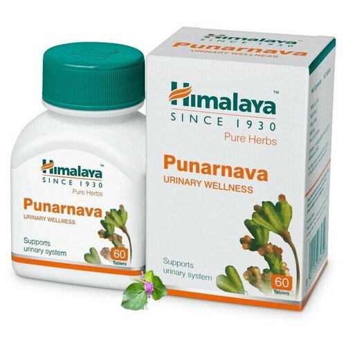 ���� ��������� Himalaya Wellness Pure Herb 60 ���., ������ ������