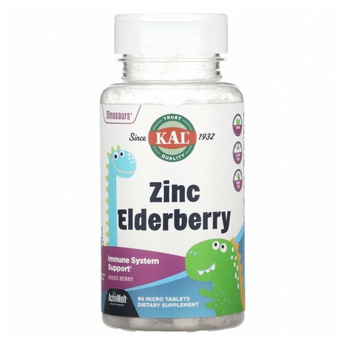  Zinc Elderberry ActivMelt (  ) 90  (KAL)   -     , -  