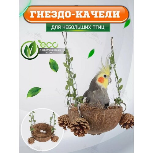 ���� ������ ��� ����, ��������� ������ ��� ������� �� ������, ������ ������