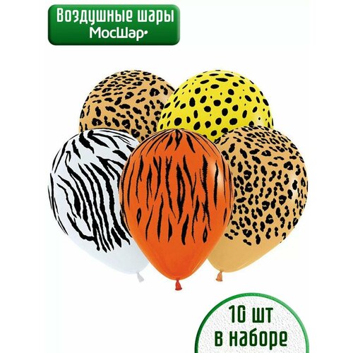 ���� ������������/10��, ������ ������