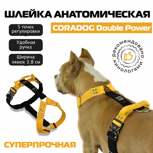        ,  , , CORADOG Double Power     ,  L, ,    -     , -  