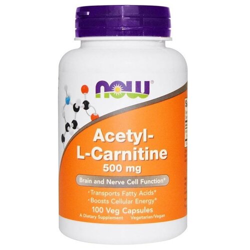  Acetyl-L Carnitine ., 500 , 200 , 100 , 100 .   -     , -  