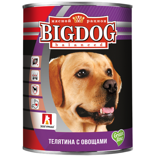   14667 BIG DOG ./    850   -     , -,   
