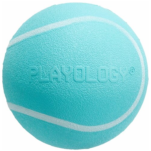  Playology    Squeaky Chew Ball 6       ,  .