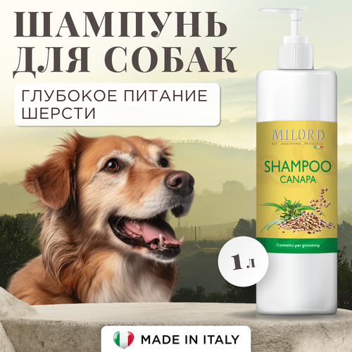 ���� ������� ��� ����� ����������� Canapa ��� ���� �����, ���������� ������, ��������� � ��������������� ������������ ������, MILORD, ������, 1 ����, ������ ������