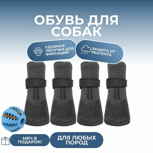 ���� ������� ��� ����� ������������� � ����������������� ��������, ���������� Jianbo XL, ������� �������, ������ ������