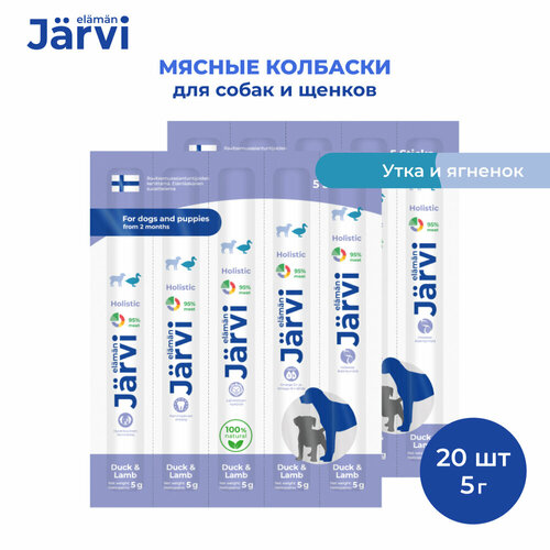  Jarvi           20   1 .   -     , -  