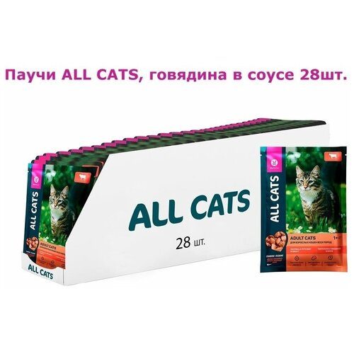 ALL CATS          85 *28   -     , -,   