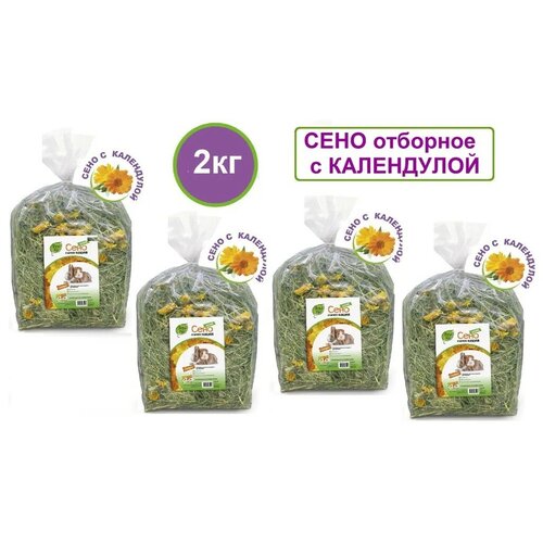 ���� ���� �������� ��������� ������ �� 500�� 4��, ������ ������