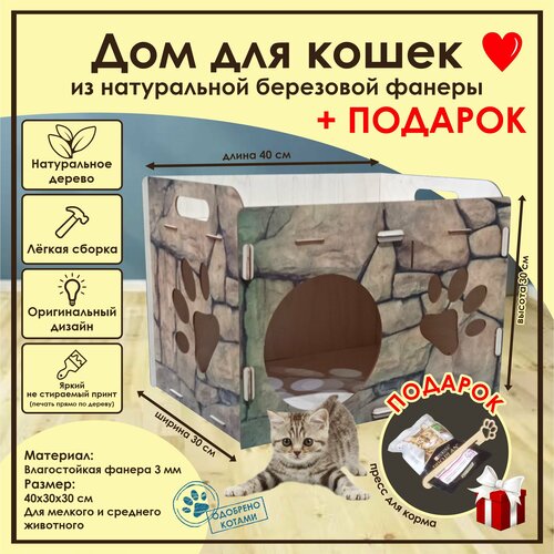 ���� ����� ��� ����� ���� / ���������� ����� ��� ���� / ����� ��� ����� / ������� ��� ����� �� ������ / ����� ��� �������� �� ������, ������ ������