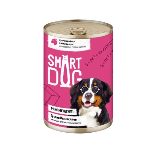  Smart Dog             2216 43736 0,85  43736 (18 )   -     , -,   