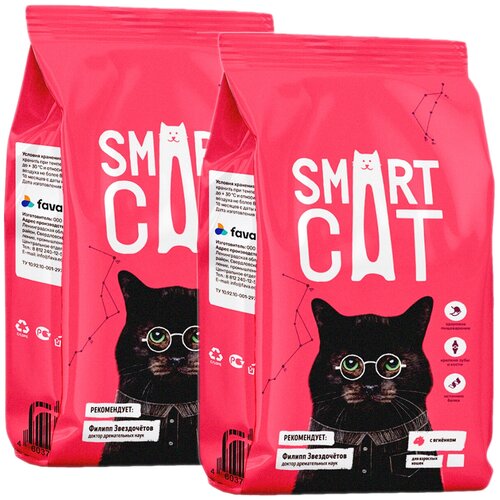  SMART CAT      (1,4 + 1,4 )   -     , -,   