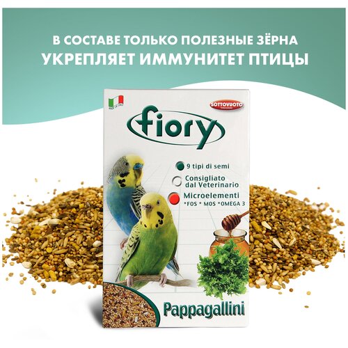   Fiory Pappagallini.    , 1    -     , -  