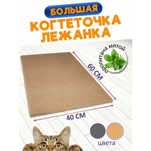 ���� ���������� ������� ��� ����� ��������� �� ��������� �������, ������ ������