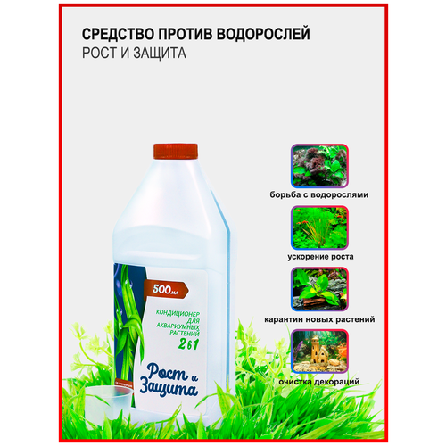 ���� �������� ������ ����������, ������� ��������, ���������� �����, 2 � 1 