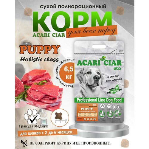  NEW     Acari Ciar Puppy Holistic 6,5  ( )     -     , -  