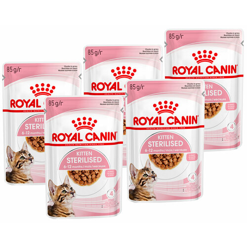  ROYAL CANIN KITTEN STERILISED         85  85   5    -     , -  