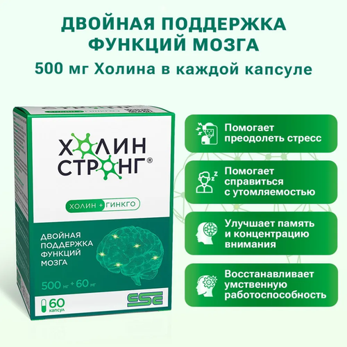 ���� ����� ������ ������� 0,588� 60��, ������ ������