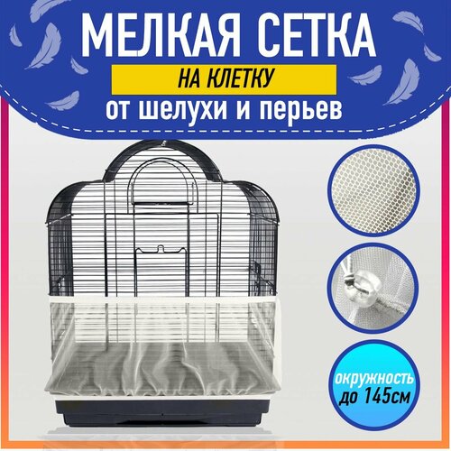 ���� �����-����� �� ������ ��� �������� � ���� ��������/ ������� / ������������ ������, ������ ������