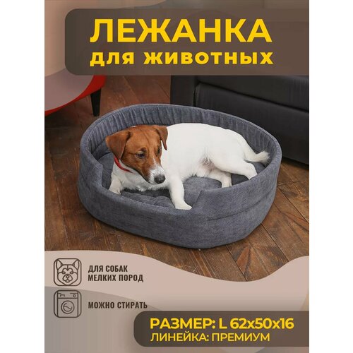 ���� ����� ��� ����� � ����� �������, �����, ������ ������