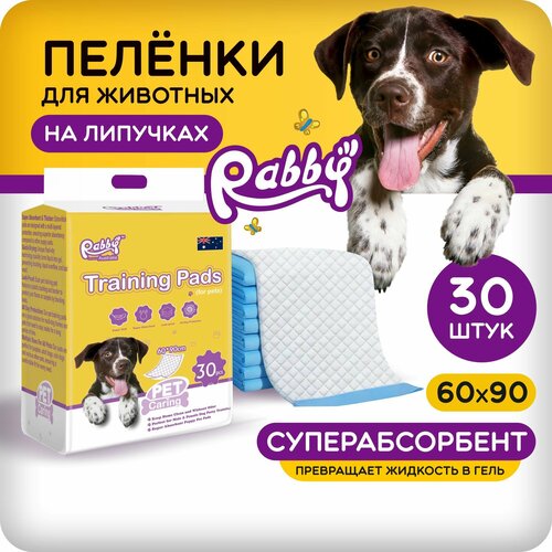      RABBY 60x90   30   -     , -  