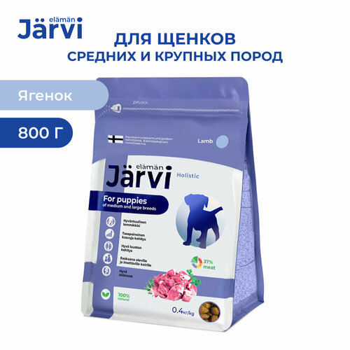  Jarvi          , 400 .  2    -     , -  