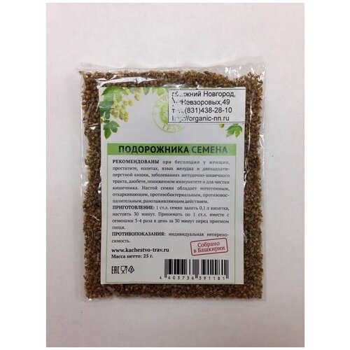  ,  25   (. Plantago)   -     , -  