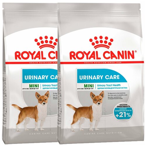    ROYAL CANIN MINI URINARY CARE         (1 + 1 )   -     , -  