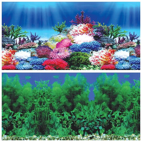 ���� ��� 9031/9099, 500*1000�� 