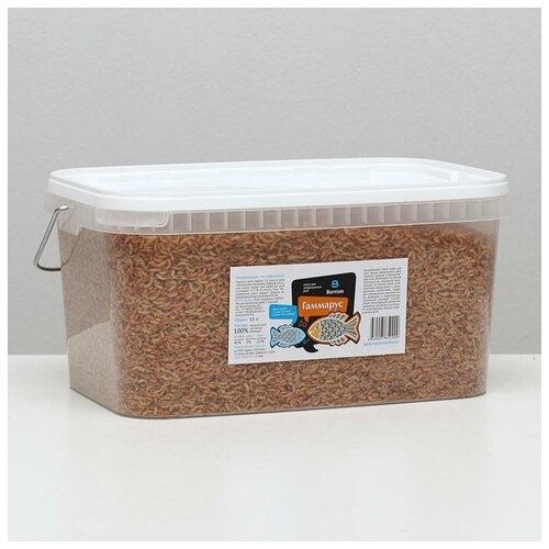 ���� Barrom ���� ��� ��� � ������� Barrom ��������, �����, ����� 11 �, ������ ������