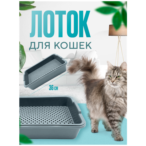 ���� ����� � �������� � ��������� ��� ����� DOMSIDE, �����, ������ ������