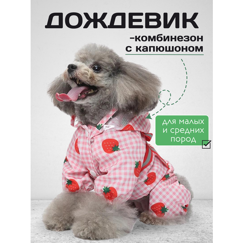 ���� ������ ����������-�������� ��� ����� �������, L, ������ ������