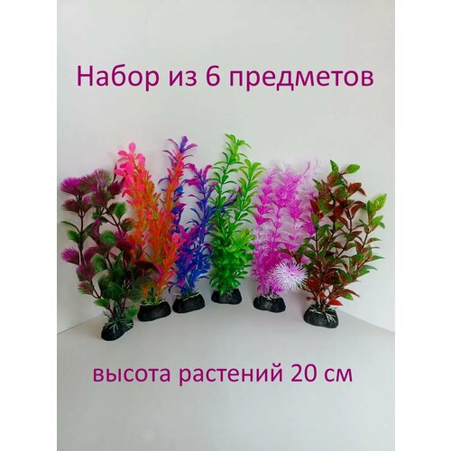 ���� �������� ��� ���������, ������ ������