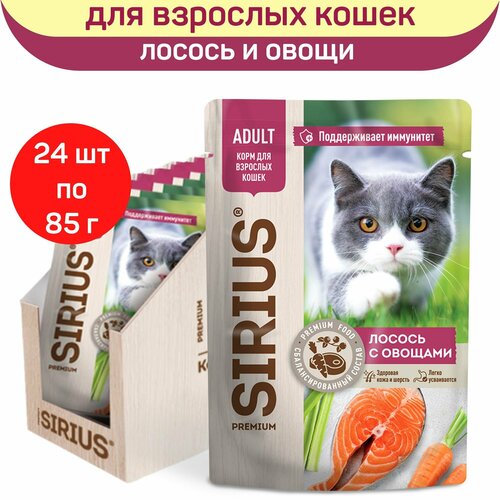    SIRIUS   ,   ,   , 24   85    -     , -  