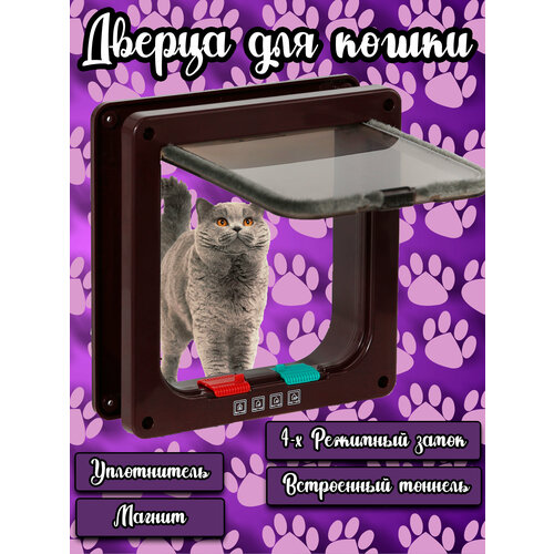 ���� ������ ��� �������� ������ ���� 16�15,5 / ����: ���������� / �������, ������ ������