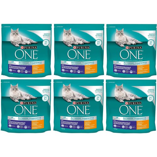    Purina ONE  /    ,         1.5  6    -     , -  